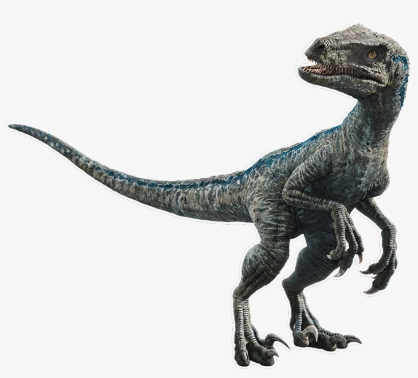 Blue The Velociraptor V5 By Sonichedgehog2 - Dinosaurio Blue Jurassic World, transparent png #4394593