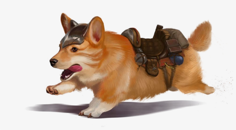 Sir Didymus The Dire Corgi - D&d Corgi Halfling, transparent png #4395774