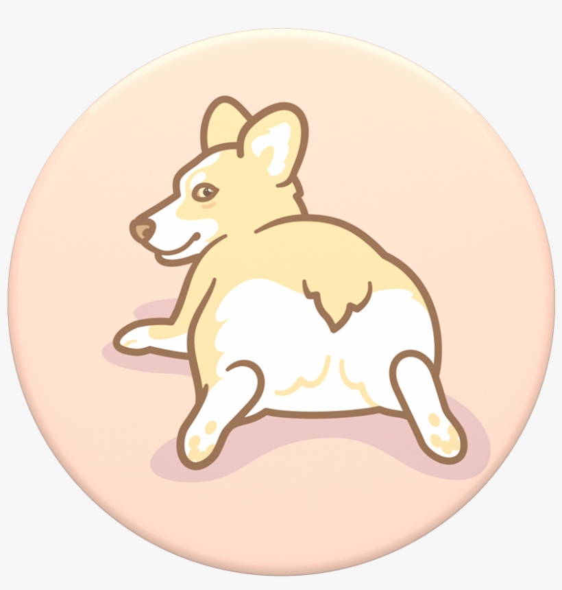 Corgi Watcha Workin With - Antoni Porowski, transparent png #4395964