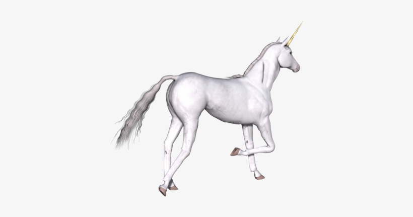Full White Unicorn Right Leg Up - Unicorn, transparent png #4396517