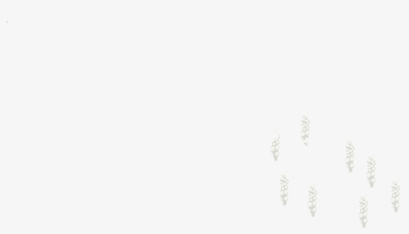 Humo - Footprint, transparent png #4398499