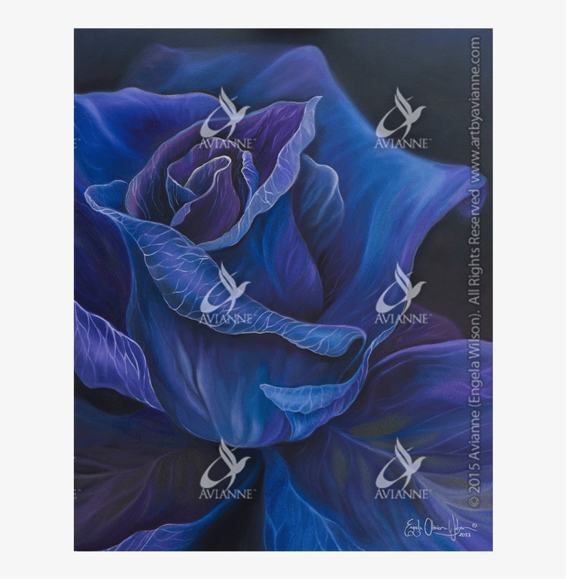 Purple Rose Giclée - Blue Rose, transparent png #4398889