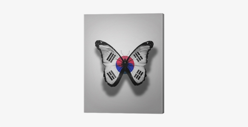 South Korea Flag Butterfly, Isolated On Flag Background - South Korea Flag, transparent png #440526