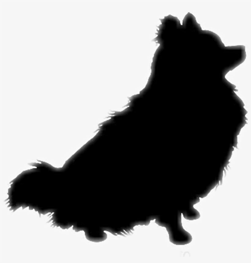 Pomeranian Silhouette Dog Pom - Pomeranian Clipart, transparent png #440822