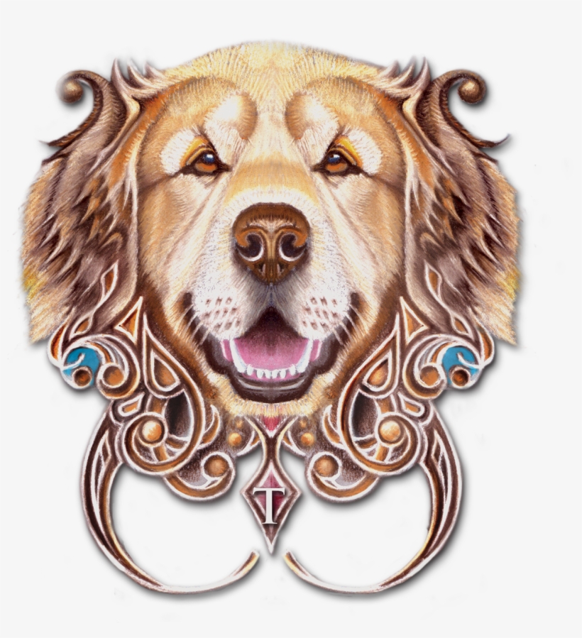 Cocker Spaniel, transparent png #441082