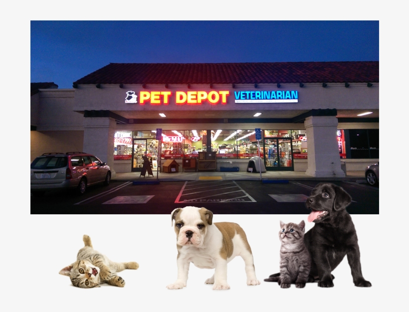 Katie's Pet Depot, Located At 1941 Foothill Blvd - Beaphar Uk Beaphar Cat Play Spray 150ml (pack Of 3), transparent png #441182