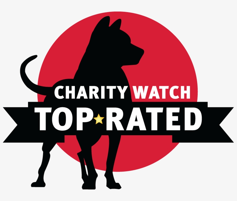 Charity Watch A Rating, transparent png #441476