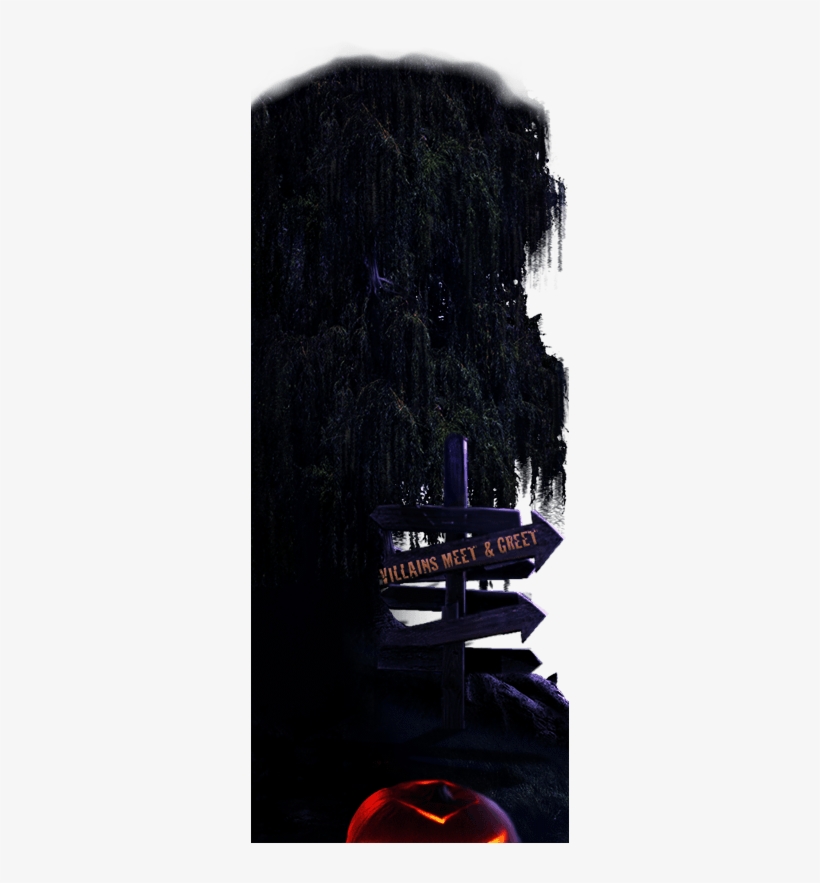 Disneyland, transparent png #441942