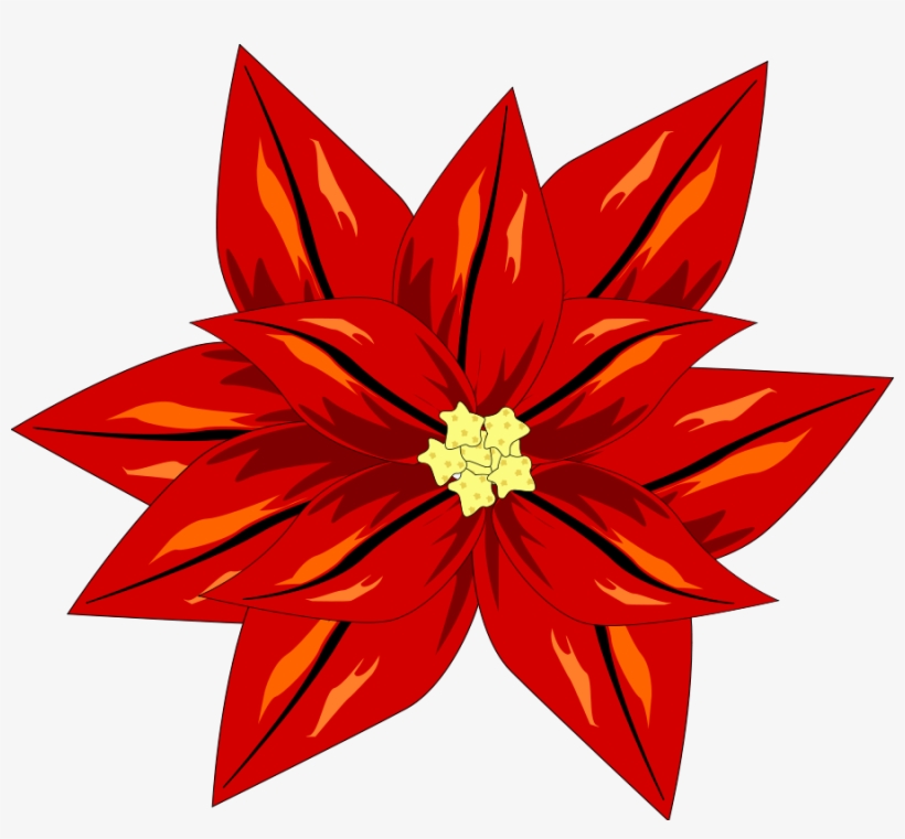 Poinsettia Download Houseplant Flower Plants Free Commercial - Poinsettia Vector, transparent png #442764
