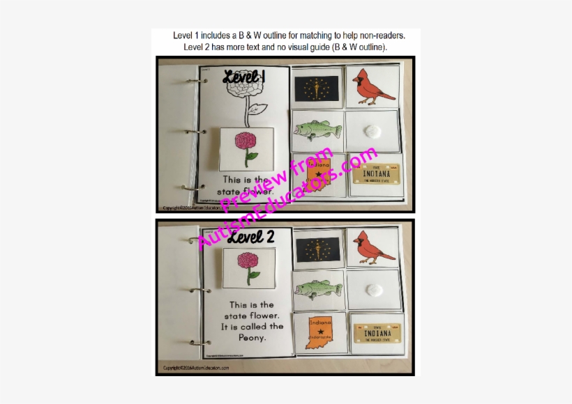 Flower, transparent png #443238