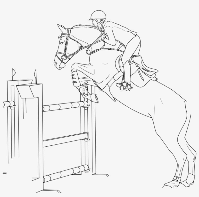 Download 28 Collection Of Hunter Jumper Horse Coloring Pages ...