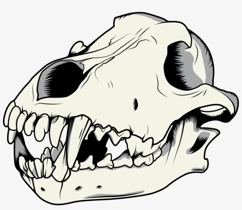 Tumblr Static - Wolf Skull Vector Free, transparent png #444869