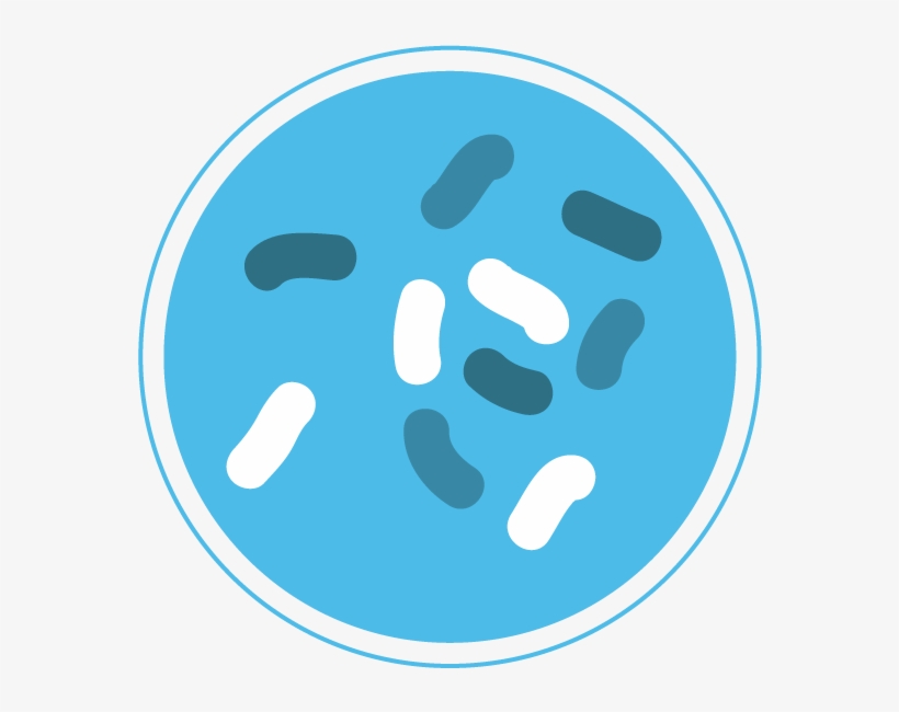 Bacteria Png - Bacteria - Free Transparent PNG Download - PNGkey
