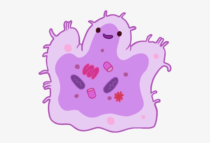 Bacteria Png Cute - Bacteria Cartoon Png - Free Transparent PNG