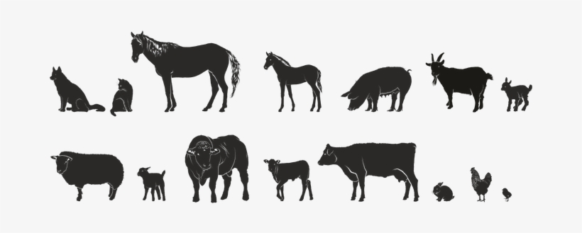 Bull 5'x7'area Rug, transparent png #446182