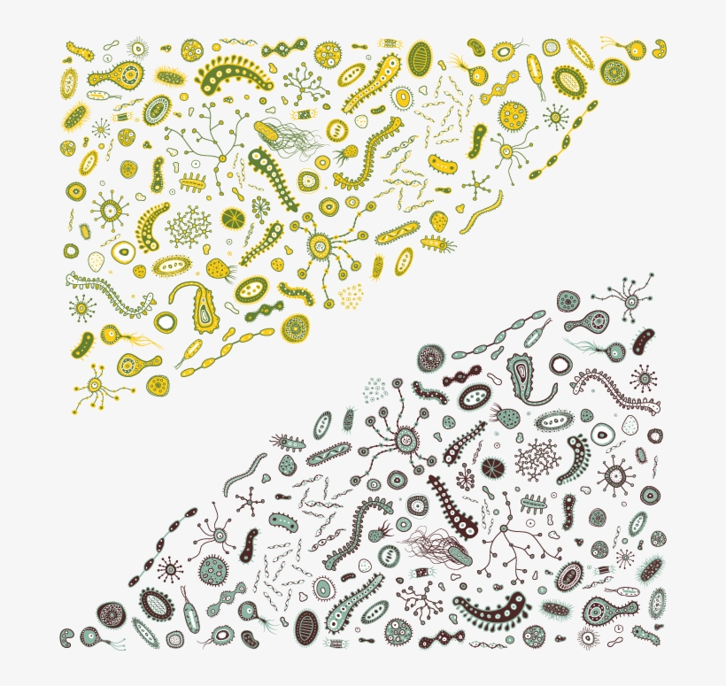 Bacteria And Virusses Vector - Bacteria, transparent png #446351