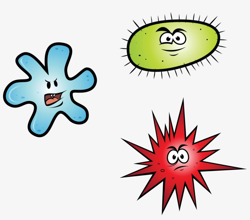 Our Crusade - Fullbucket - She - Bacteria Cartoon Png, transparent png #446377