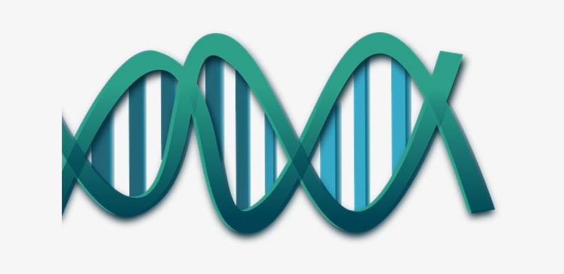 Promising Target In Fight Against Bacteria - Biochemistry Principles (speedy Study Guides), transparent png #446463