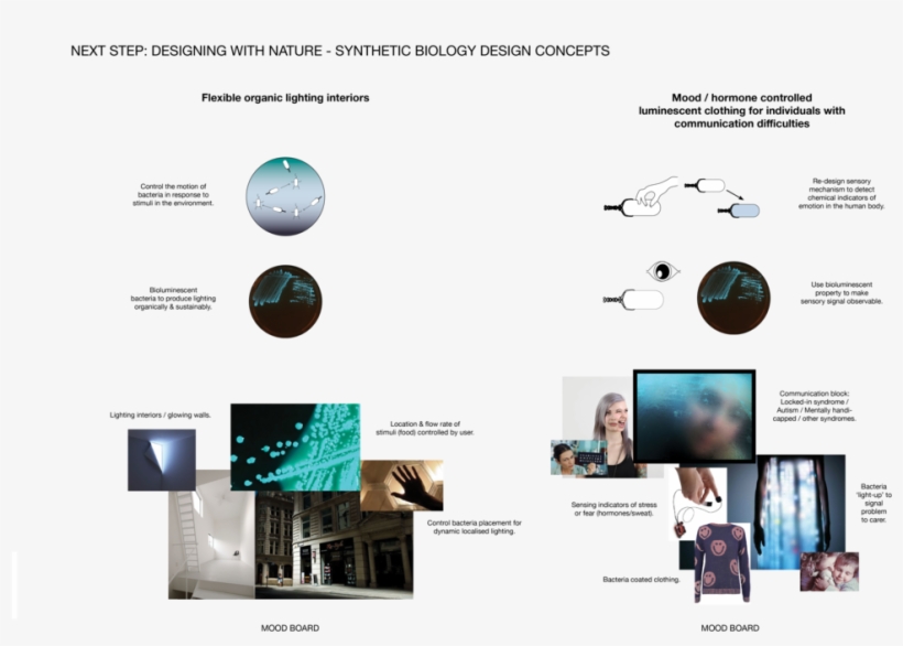 Page13 Bac - Web Page, transparent png #446767