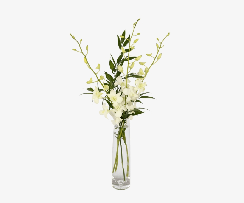 Elegant Orchids, White - Orchid Flower Bud Vase, transparent png #447630