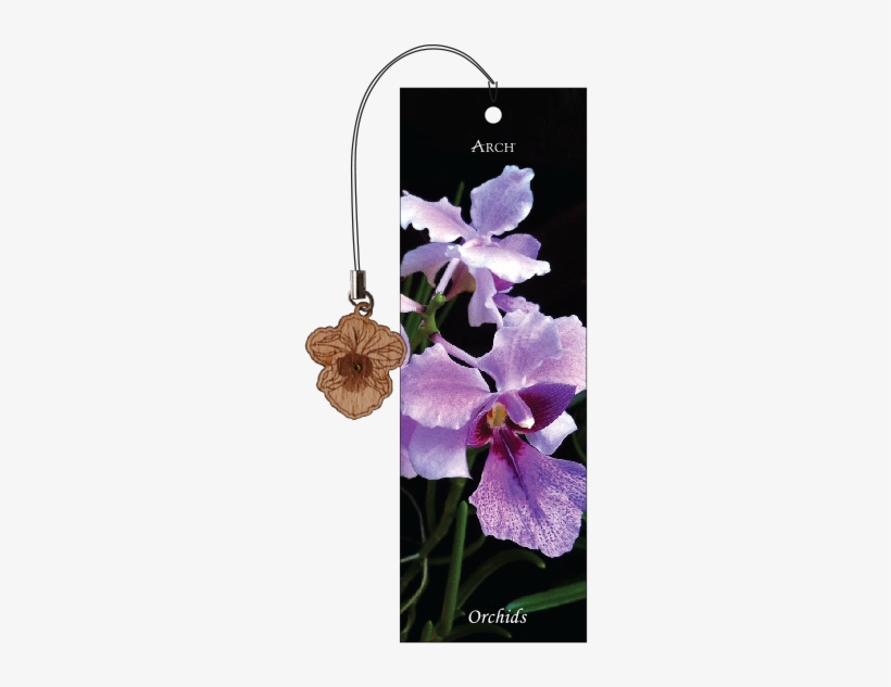 Wood Veneer Bookmarks - Cattleya Labiata, transparent png #448240