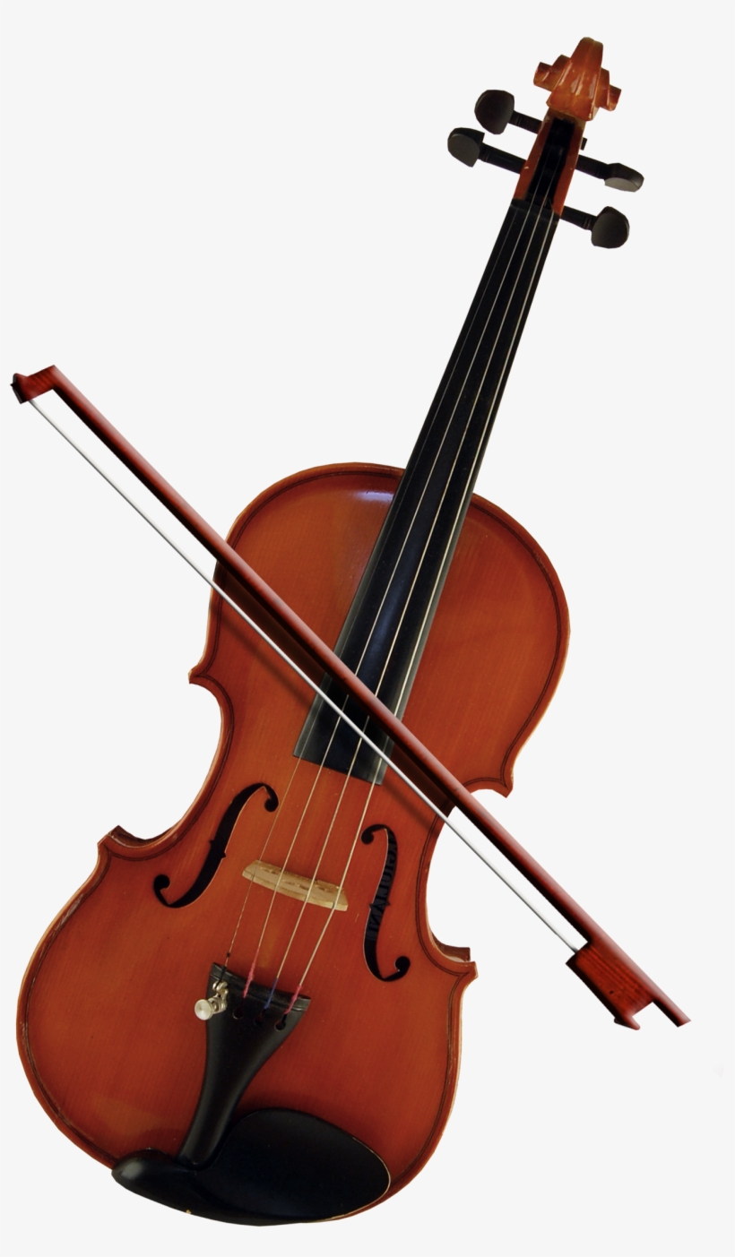 Bass Violin Cello Violone Viola - Violonchelo Png, transparent png #448390