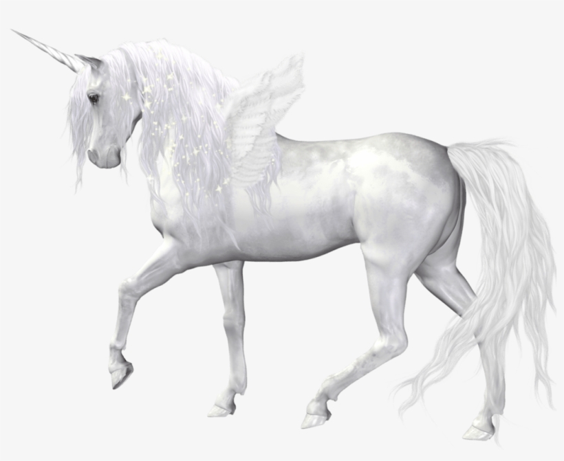 Fantasy Angel Unicorn Png Clipart Picture Gallery Yopriceville - Transparent Unicorn Png Free, transparent png #448538