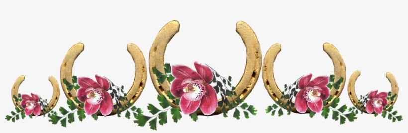 Lucky, Horse Shoes, Orchids, Flowers, Arrangement - Orchids, transparent png #449004