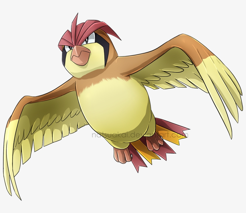 #17 Pidgeotto Art Challenge, Wonders Of The World, - Pidgeotto Png, transparent png #449177