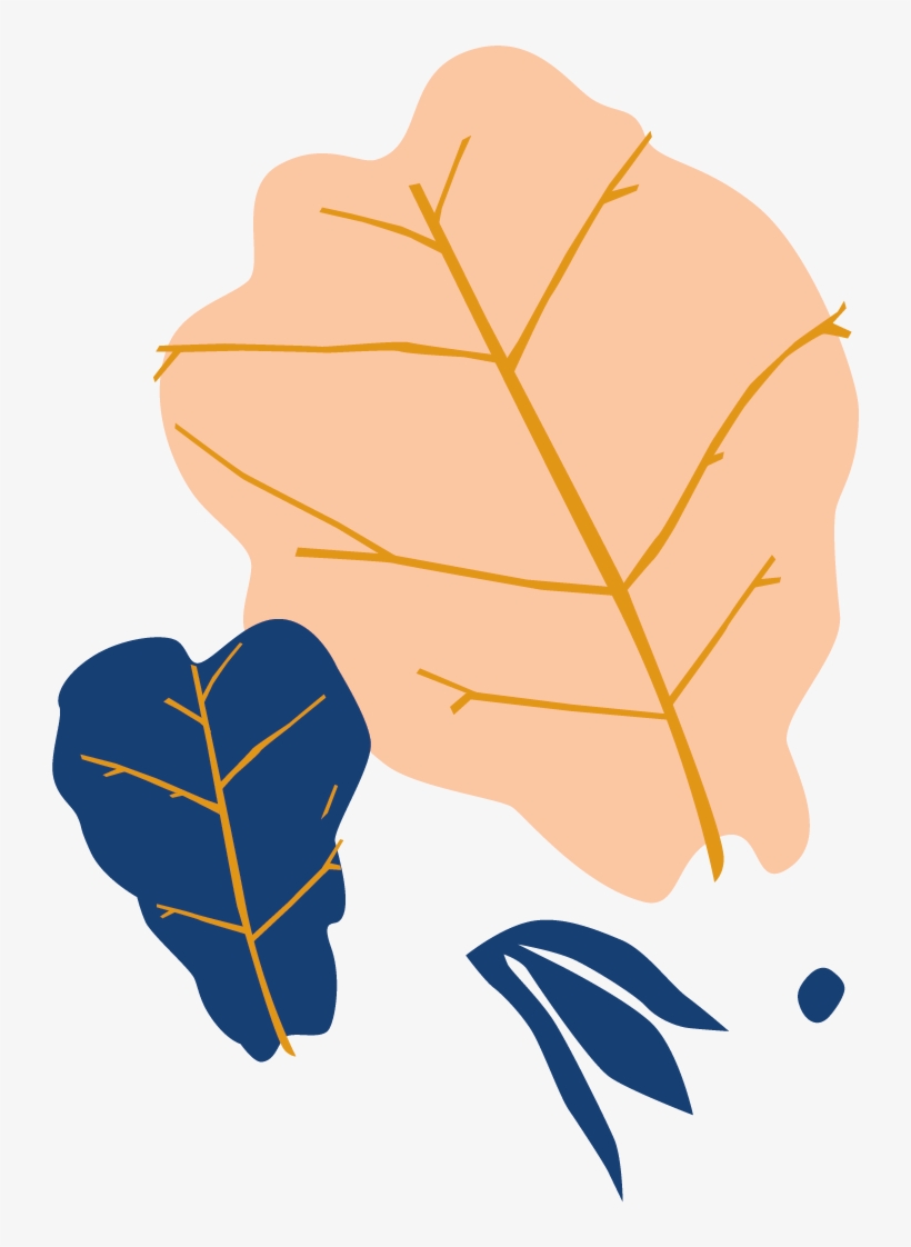 Bloomscape Fiddle Leaf Fig - Illustration, transparent png #449240