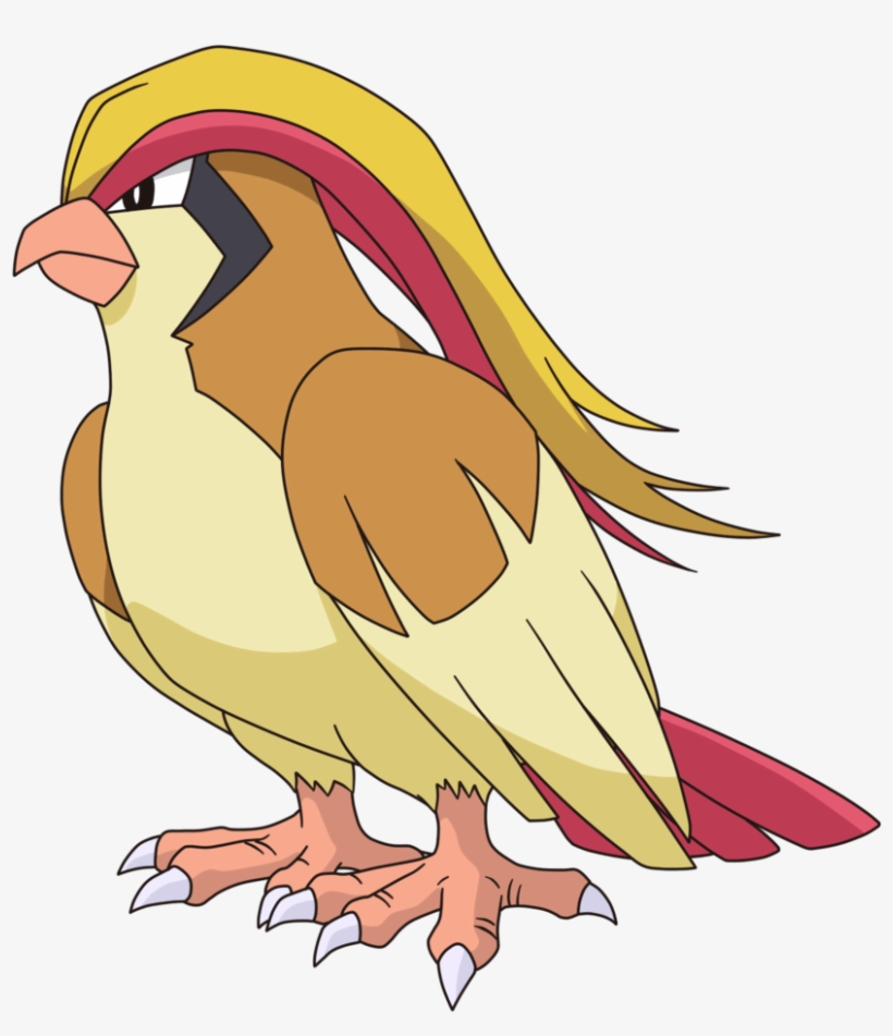 Pidgeot Is A Huge Bird, You An Fly On Her - Pidgeot Png, transparent png #449297