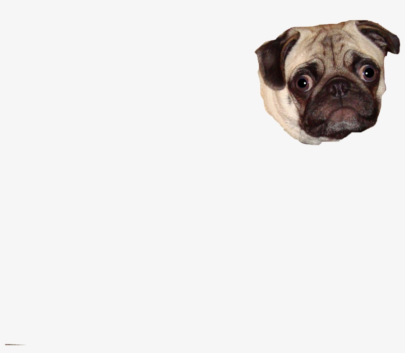 Pug Face Png Graphic Transparent Library - Pug, transparent png #449384