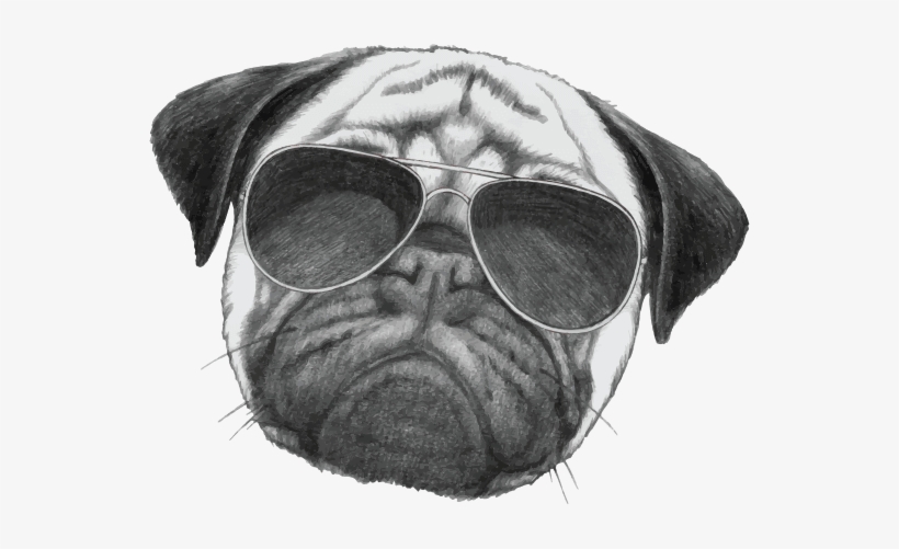 Glass Drawing Face - Suspicious Neighbor: Volume 1 (spy Dogs), transparent png #449500