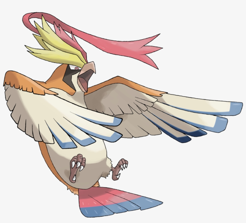 0 Yorum - Pokemon Mega Pidgeot, transparent png #449656