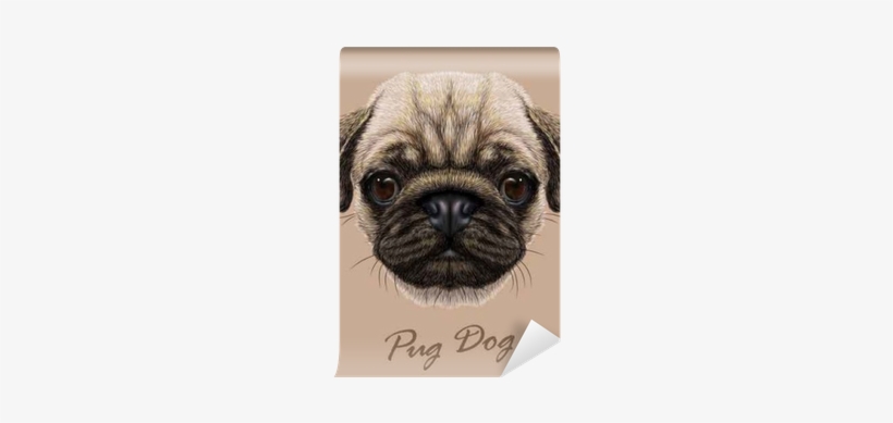 Vector Illustrative Portrait Of Pug Dog - Dog Face Transparent Background, transparent png #449707