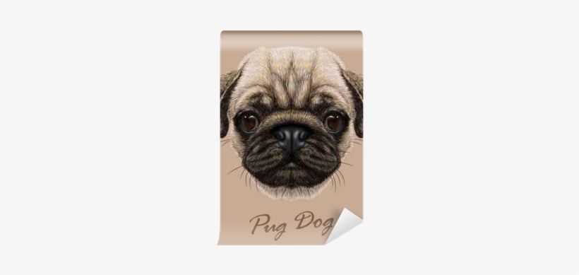 Vector Illustrative Portrait Of Pug Dog - Dog Face Transparent Background, transparent png #449707