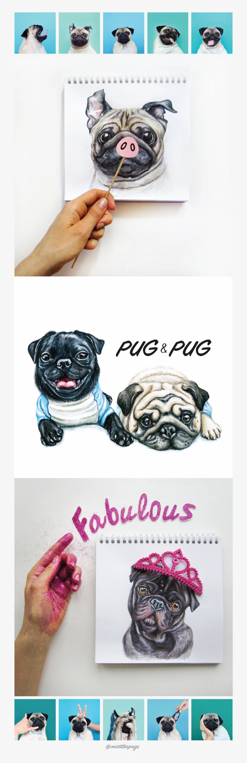 Pug-pig On Behance - Pug, transparent png #449755