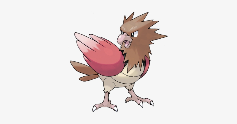 Pidgey, What Kind Of Casual Are You Spearow Is The - Pokemon Spearow, transparent png #449964