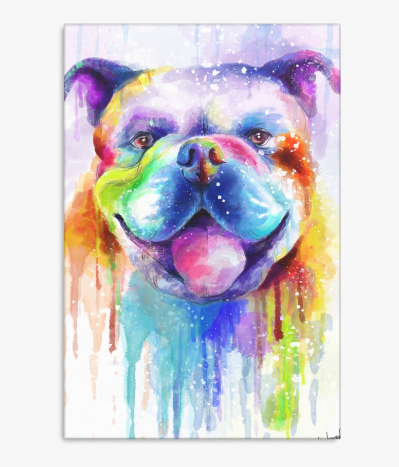 Bulldog Canvas Wrap 2402ph - Olde English Bulldogge, transparent png #449992