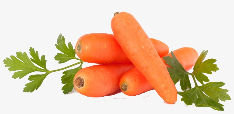 Carrot Ansika Trading Pvt - Carrot Seeds,vegetable Seeds Organic Russian Heirloom, transparent png #4400687