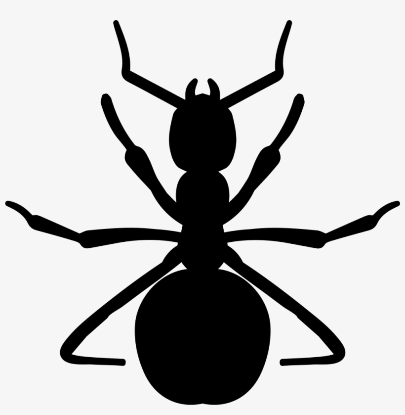 Png File - Ants Vector, transparent png #4401326
