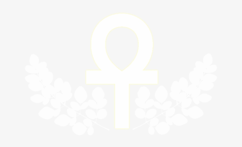 Ankh Life Products - Kosttillskott Moringa 60-pack - 59% Rabatt, transparent png #4401498