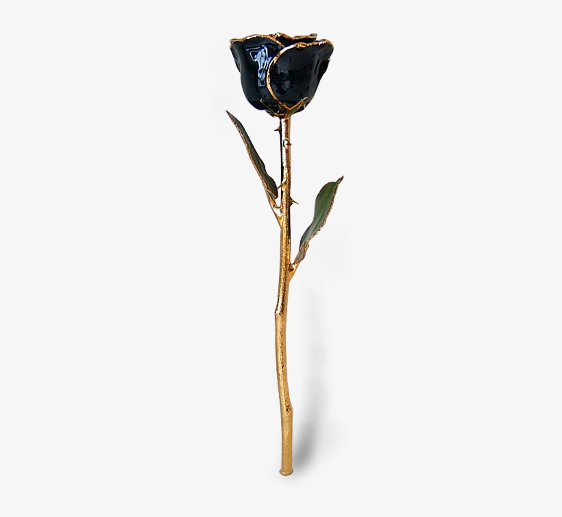 Blackrose Tall - Black Lacquer And Gold Rose, transparent png #4401710