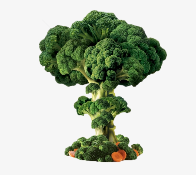 Vegetable Trees Transprent Free - Vegetable, transparent png #4402662