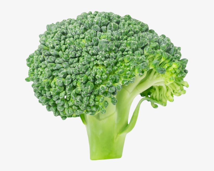 Broccoli - Vegetable Broccoli, transparent png #4402821