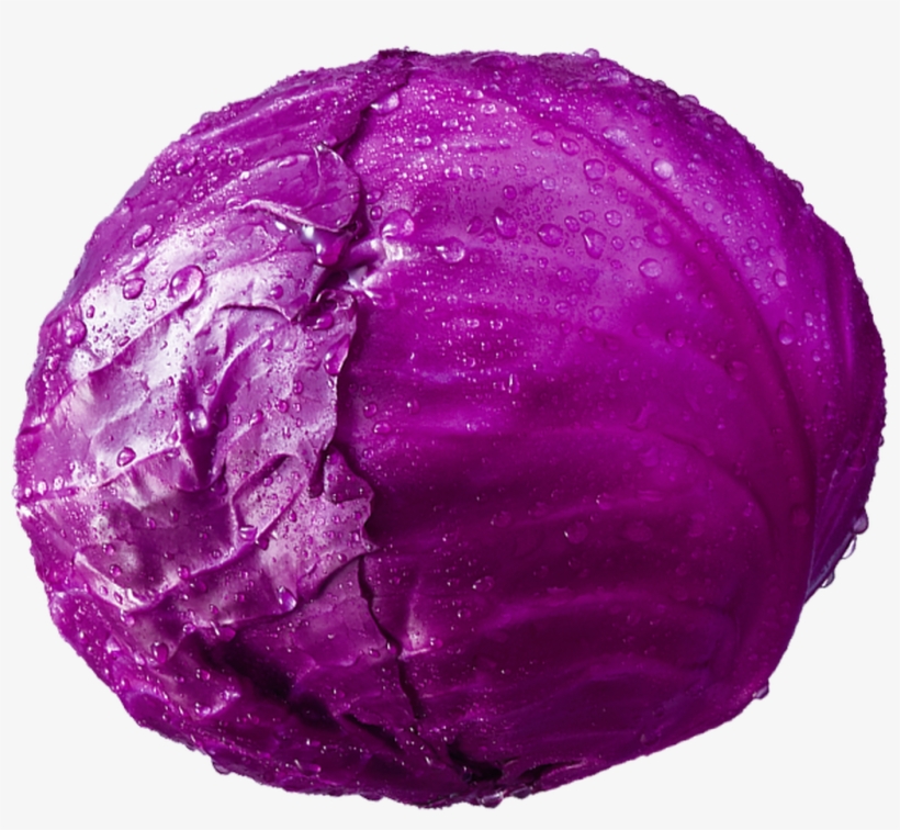 A Fresh Purple Broccoli - Cabbage, transparent png #4403226