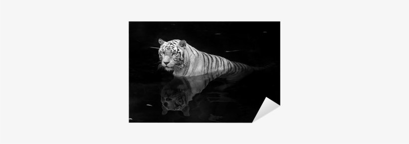 White Painting On Dark Background, transparent png #4404386