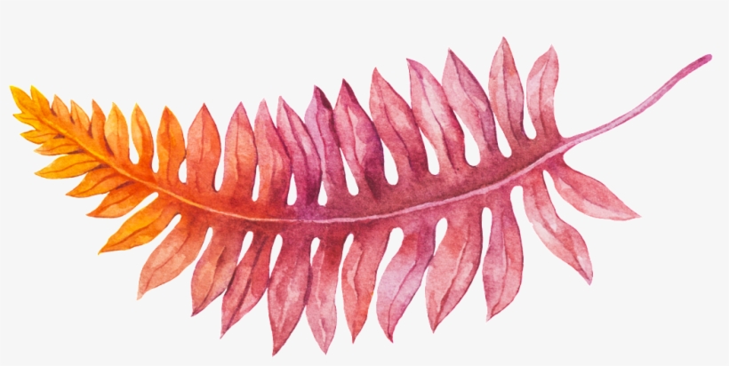Hand Drawn Gradient Fern Vector - Vascular Plant, transparent png #4404419