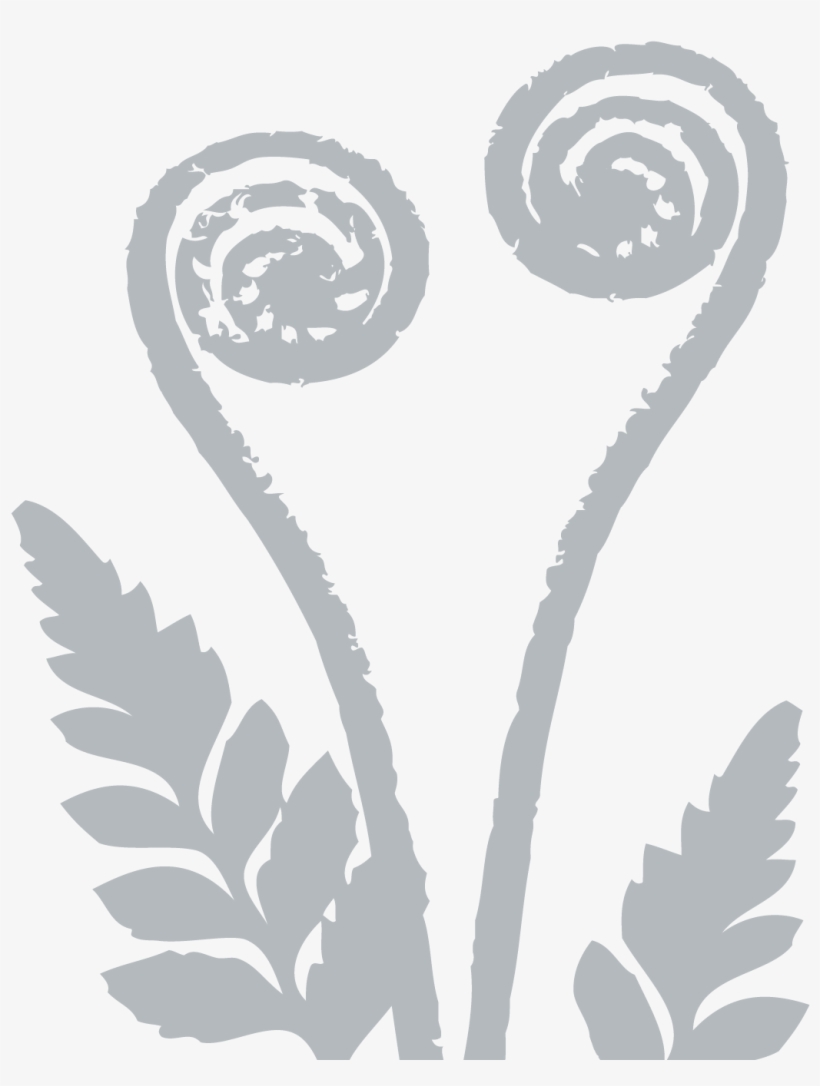 Fern-frond - Silver Fern, transparent png #4404462
