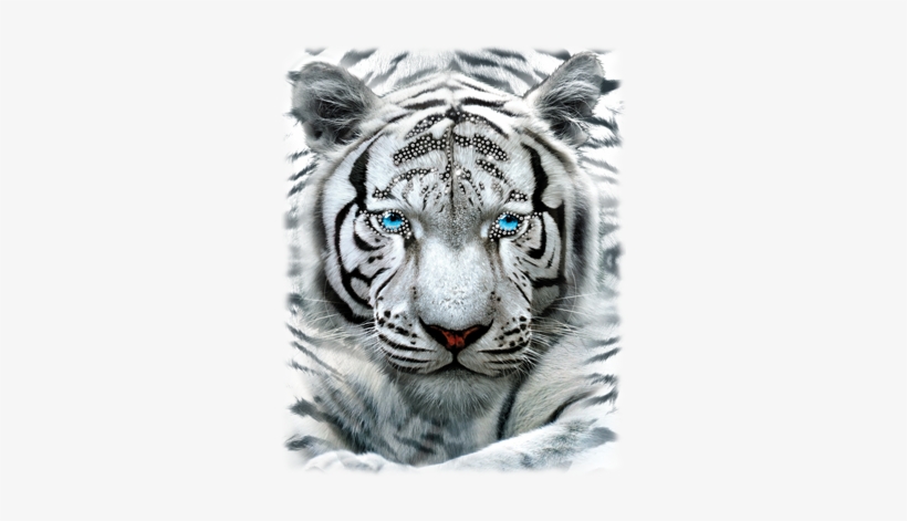 Large White Tiger Rhinestones Heat Transfers - White Tiger Head Photo Cabochon Glass Black Chain Pendant, transparent png #4404506